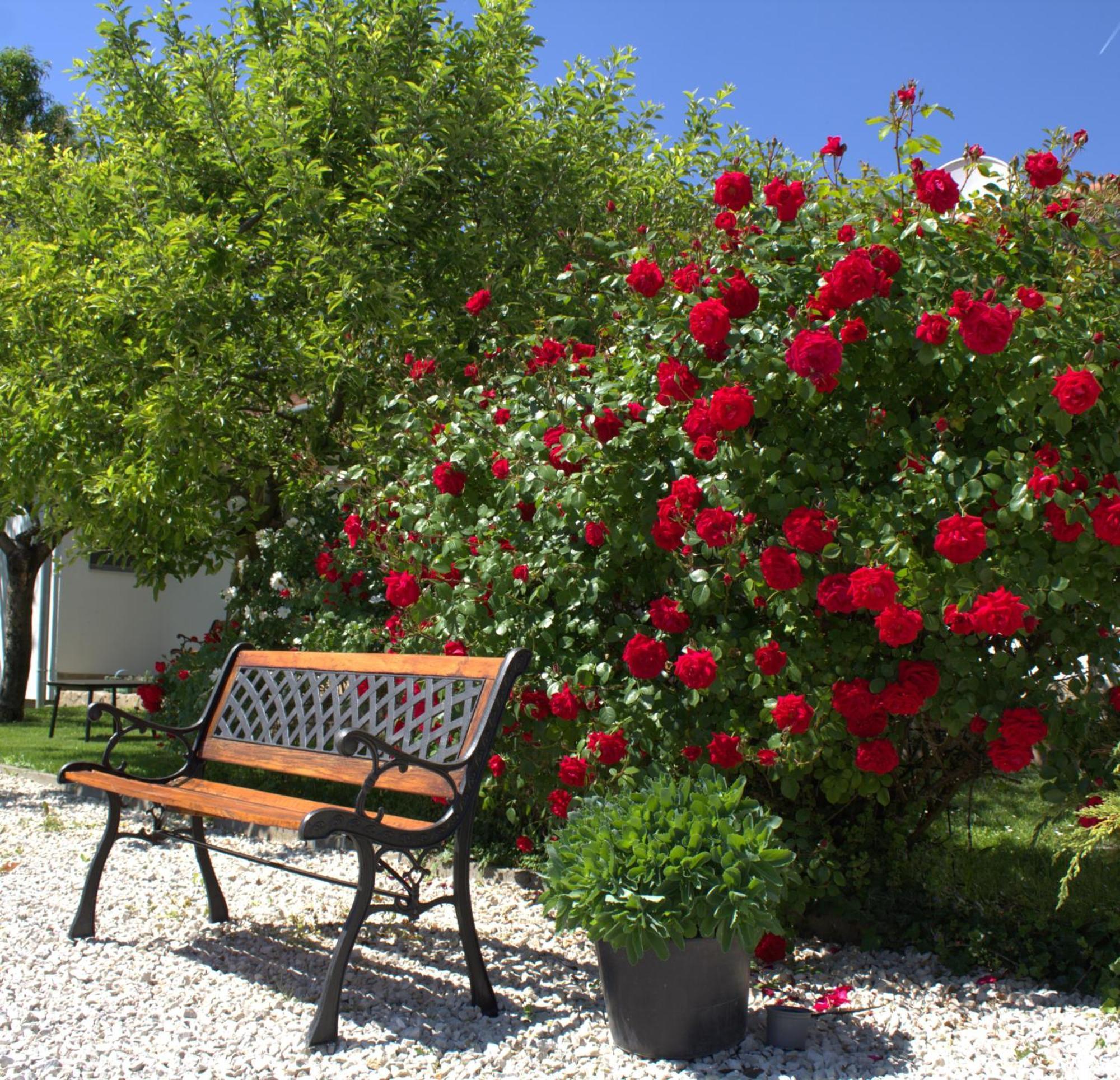 The Secret Garden - Keszthely Bed and Breakfast Εξωτερικό φωτογραφία